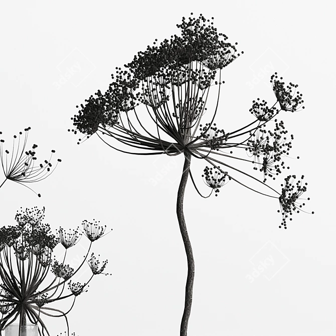 Elegant Dry Hogweed Bouquet 3D model image 4