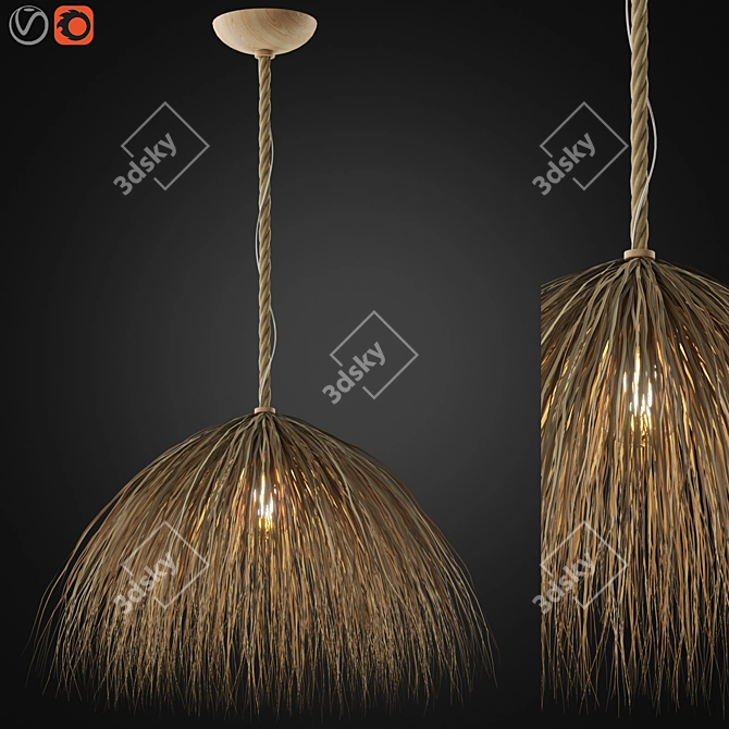 Zagg Ceiling Lamp 09 Design 3D model image 1