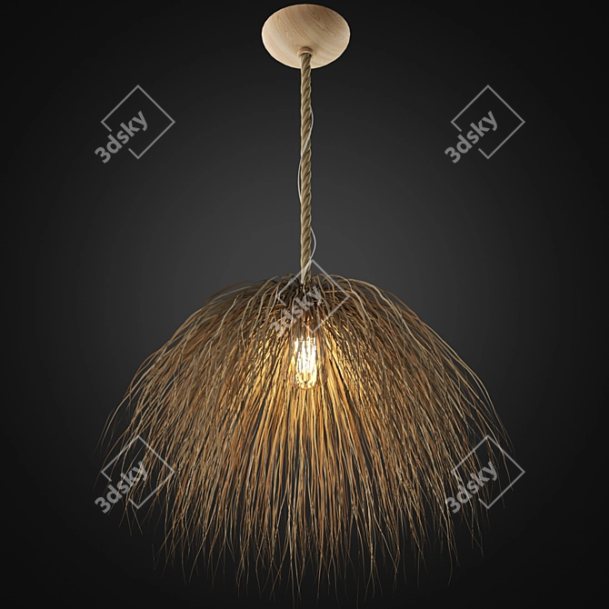 Zagg Ceiling Lamp 09 Design 3D model image 3