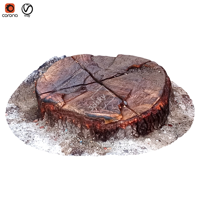 Natural Wood Tree Trunk Decor 3D model image 1