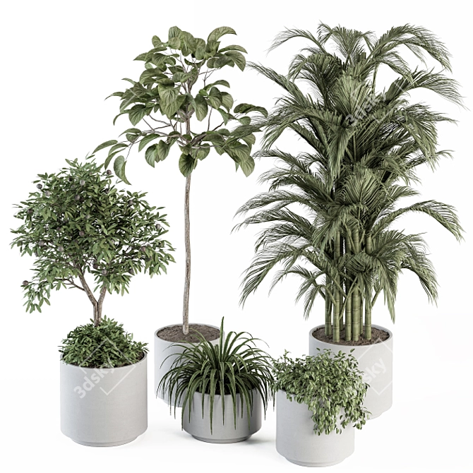 Green Oasis: Indoor Plant Set 3D model image 1