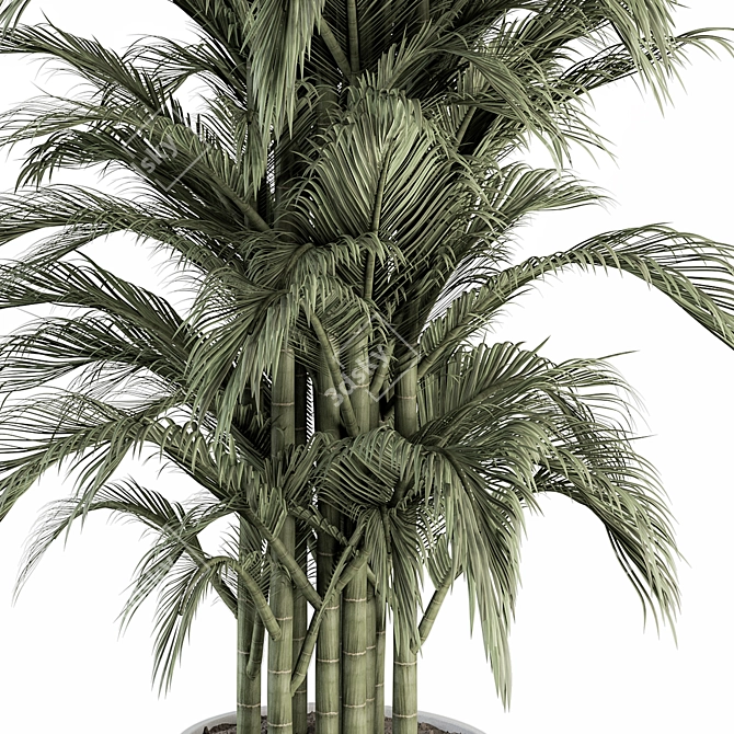 Green Oasis: Indoor Plant Set 3D model image 2