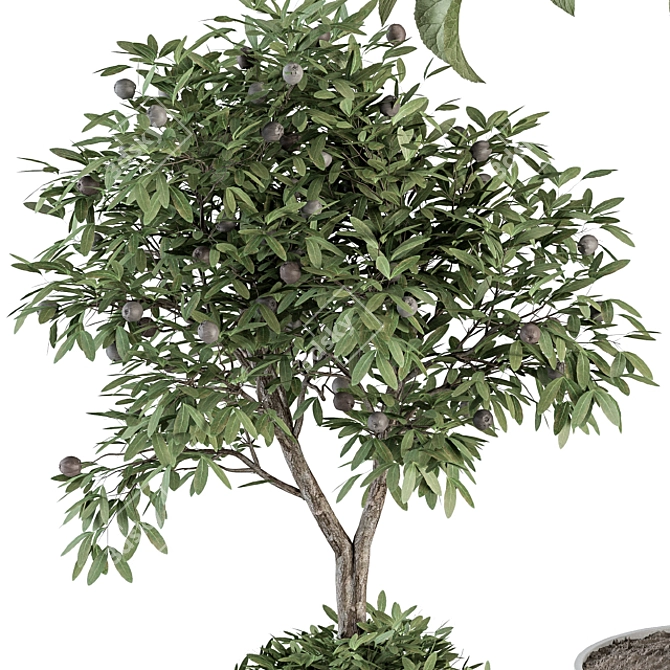 Green Oasis: Indoor Plant Set 3D model image 5