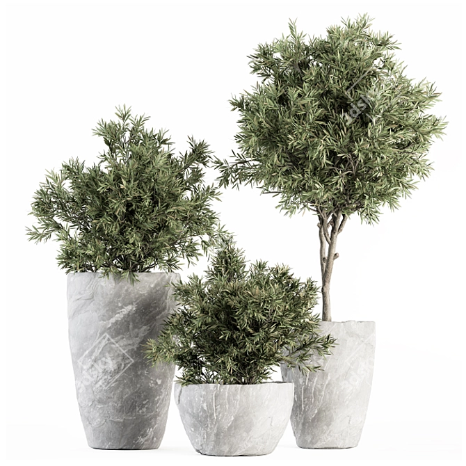 White Rock Pot Plant Set 266 3D model image 1