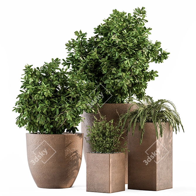 Natural Greenery: Outdoor Plant Set 3D model image 1