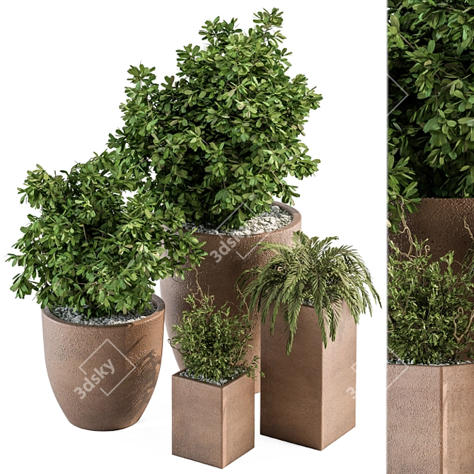 Natural Greenery: Outdoor Plant Set 3D model image 2