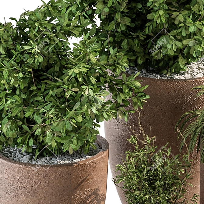 Natural Greenery: Outdoor Plant Set 3D model image 3