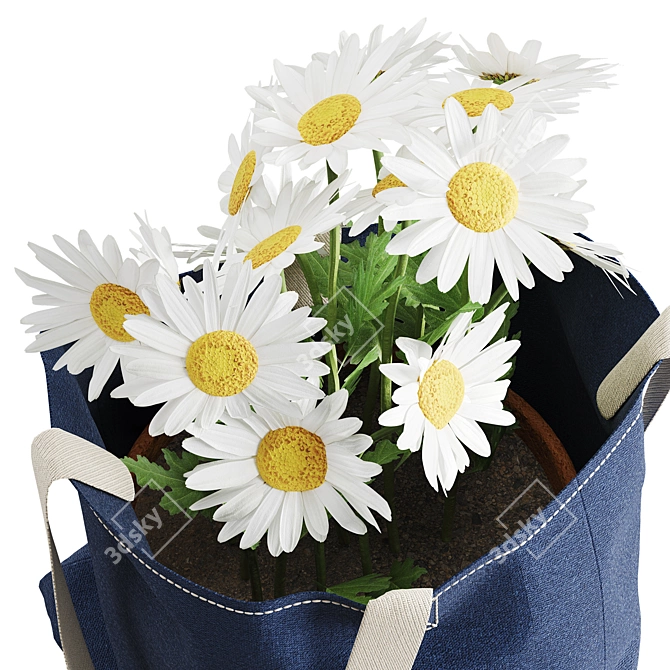 Dainty Daisies: Stunning Floral Decor 3D model image 2