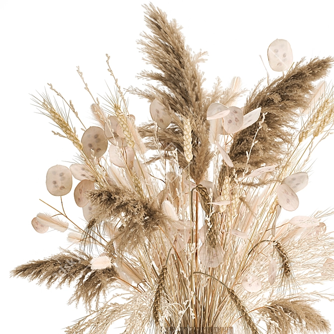Exquisite Dry Floral Arrangement 3D model image 2