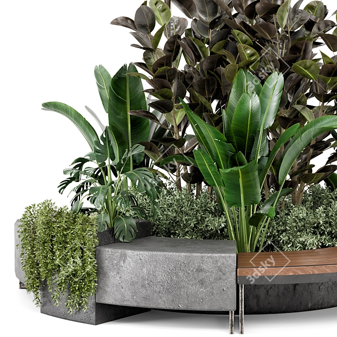 Outdoor Garden Set with 5 Different Plants 3D model image 3