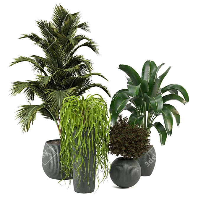 Green Oasis - Set of Indoor Plants 3D model image 1