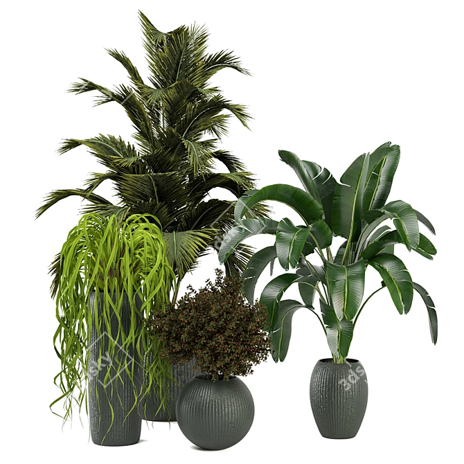 Green Oasis - Set of Indoor Plants 3D model image 5