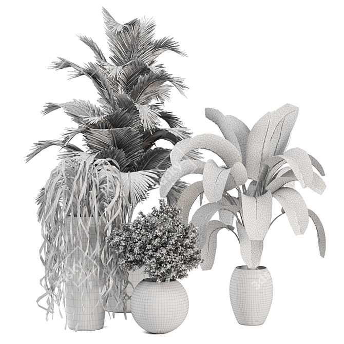 Green Oasis - Set of Indoor Plants 3D model image 6