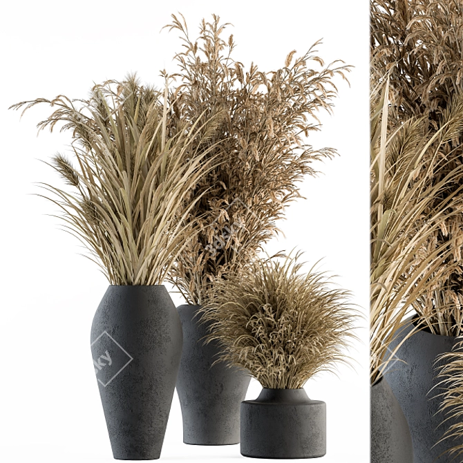 Title: Botanic Bunch: Dried Plants 81 3D model image 2
