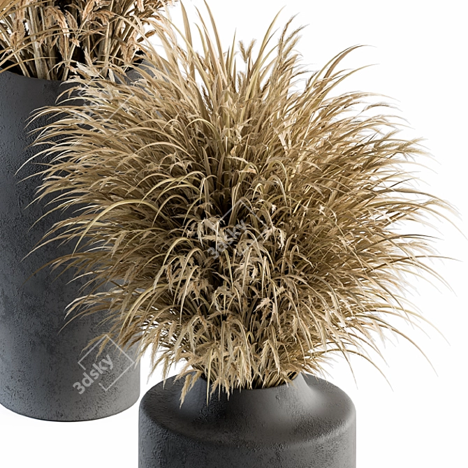 Title: Botanic Bunch: Dried Plants 81 3D model image 3