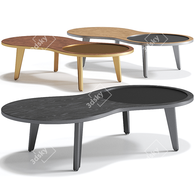 IMAGO Low Coffee Table - Sleek and Contemporary 3D model image 1