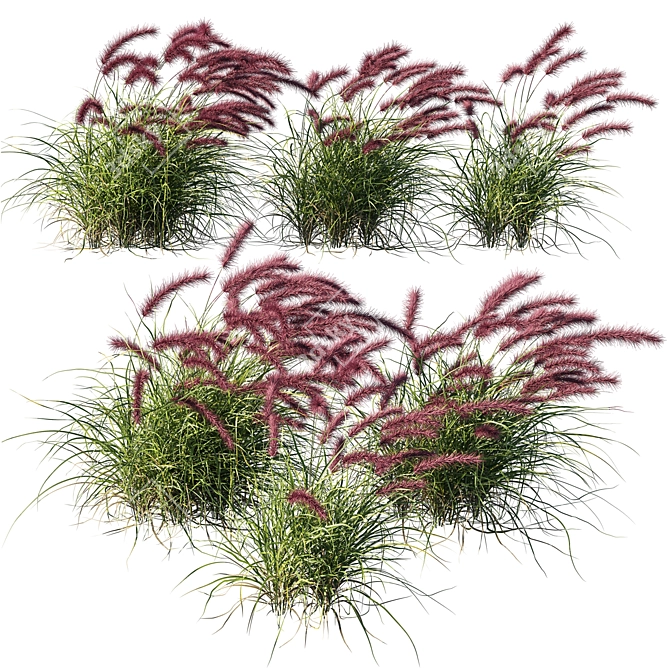 Purple Fountain Grass Wind Sculpture 3D model image 1