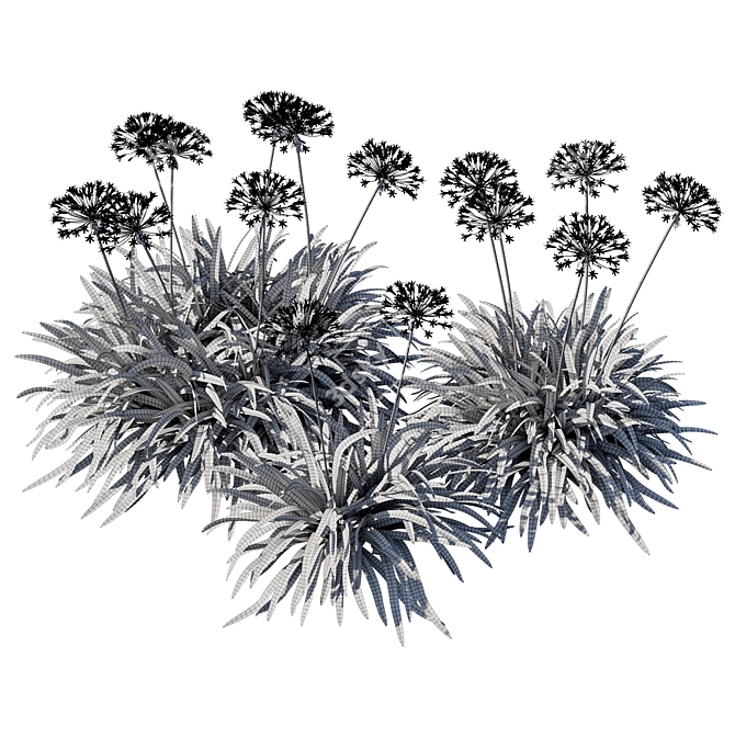 Moonlit Silver Agapanthus 3D model image 3