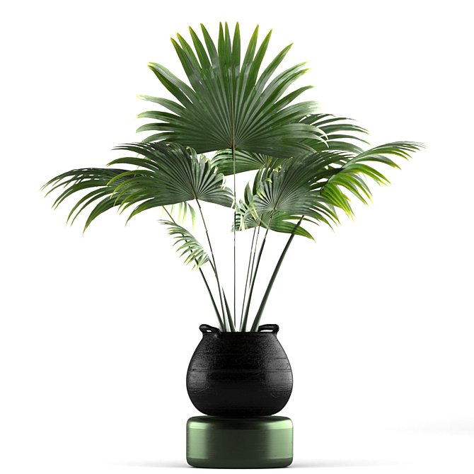 Green Oasis Plant Set - Indoor & Outdoor Pot Plants 3D model image 3