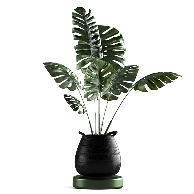 Green Oasis Plant Set - Indoor & Outdoor Pot Plants 3D model image 4