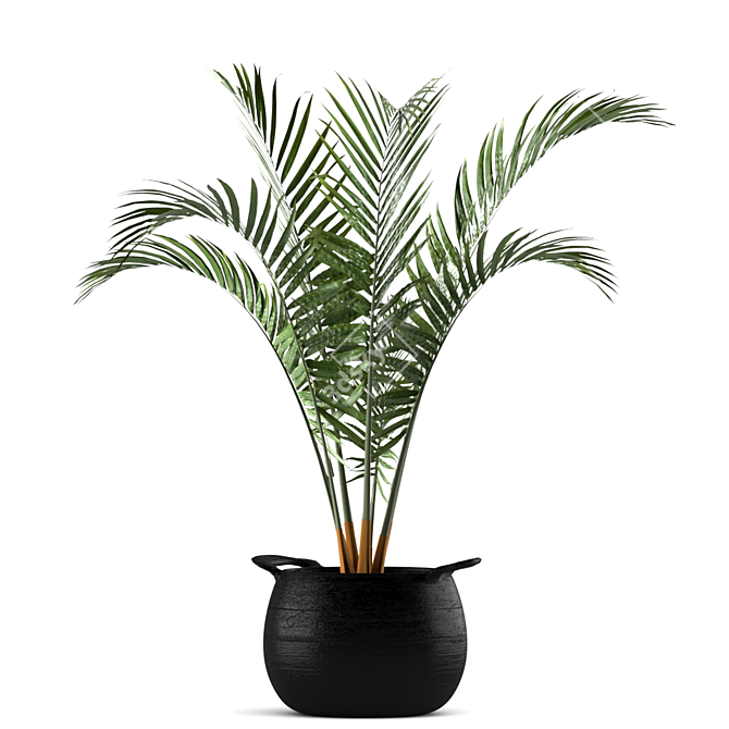 Green Oasis Plant Set - Indoor & Outdoor Pot Plants 3D model image 5