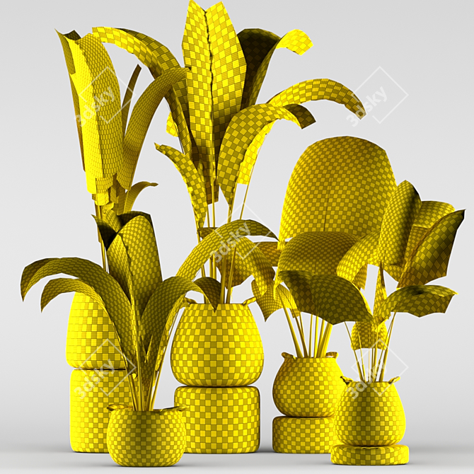 Green Oasis Plant Set - Indoor & Outdoor Pot Plants 3D model image 7