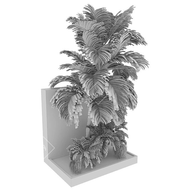 Tropical Palm Plant Collection 3D model image 3