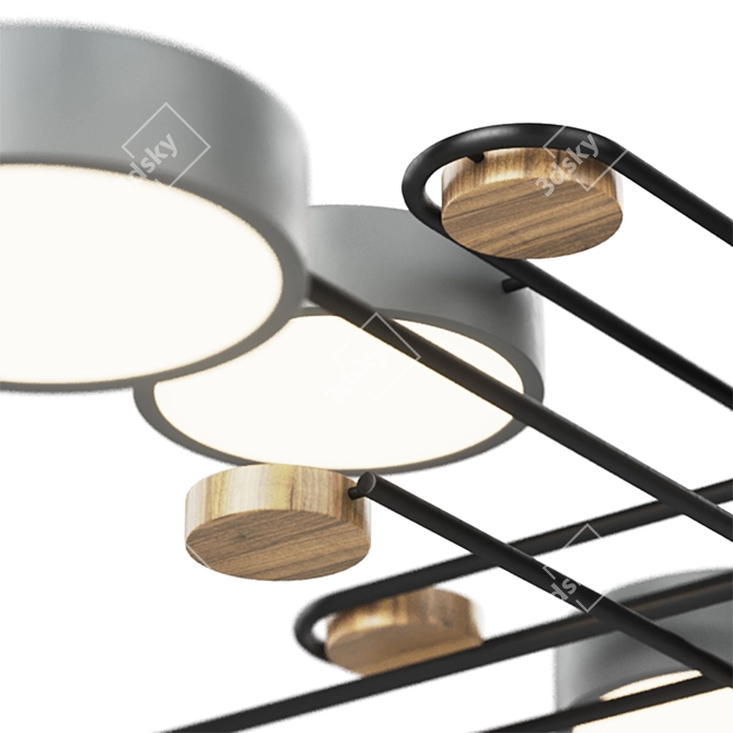 Modern Pars Ceiling Light 3D model image 3