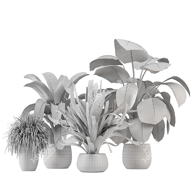 Tropical Greenery - Set of Indoor Plants 3D model image 7