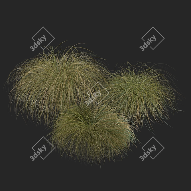 Sleek HairSedge Model - 3Ds Max 3D model image 2