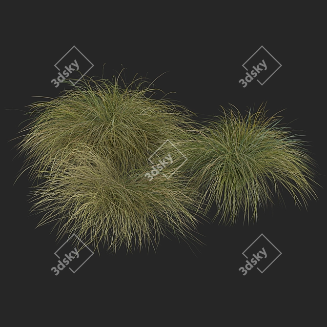 Sleek HairSedge Model - 3Ds Max 3D model image 3