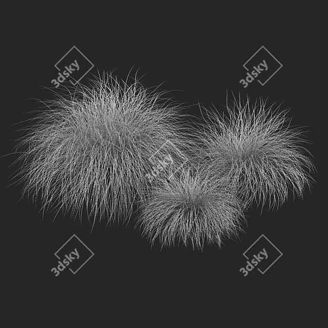 Sleek HairSedge Model - 3Ds Max 3D model image 6