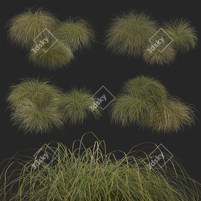 Sleek HairSedge Model - 3Ds Max 3D model image 8