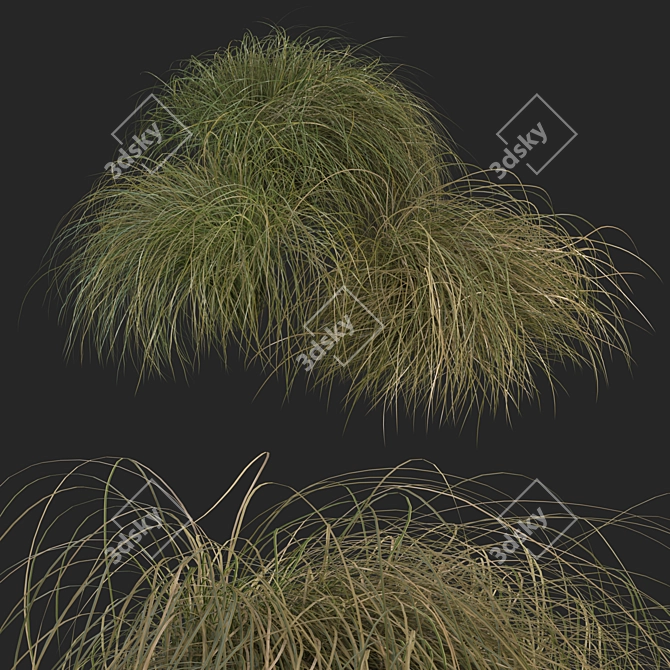 Sleek HairSedge Model - 3Ds Max 3D model image 13