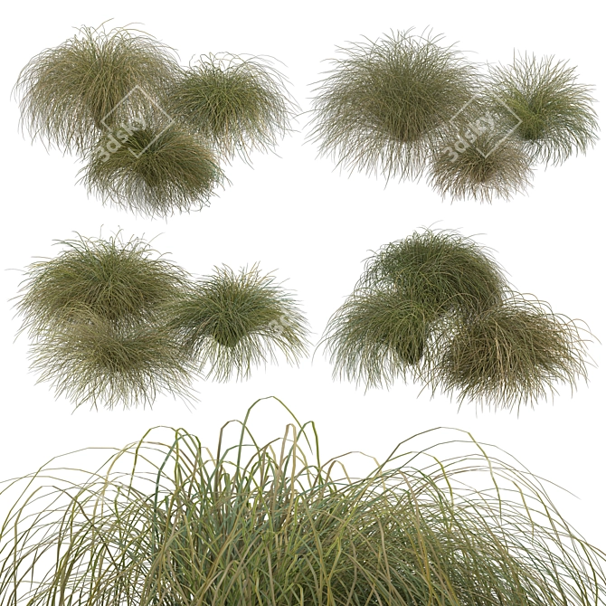 Sleek HairSedge Model - 3Ds Max 3D model image 15