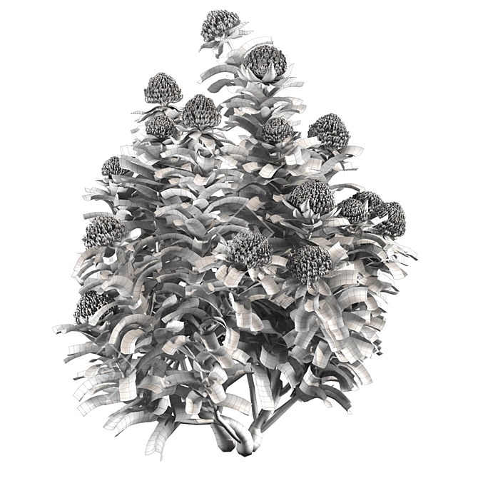 Waratah Telepea 2013: Stunning Floral Sculpture 3D model image 6