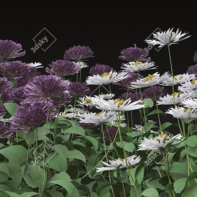 Blooming Bellis: Set of 6 Daisy Plants 3D model image 6