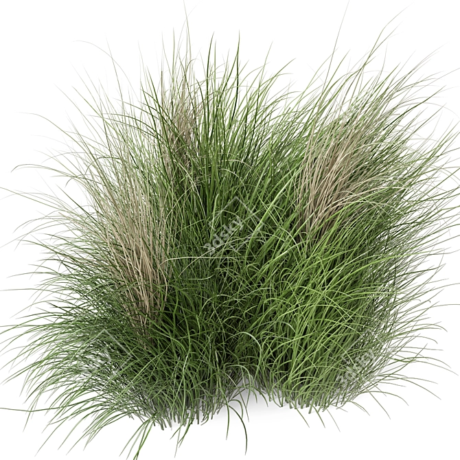 Natural Outdoor Bush Set 3D model image 2