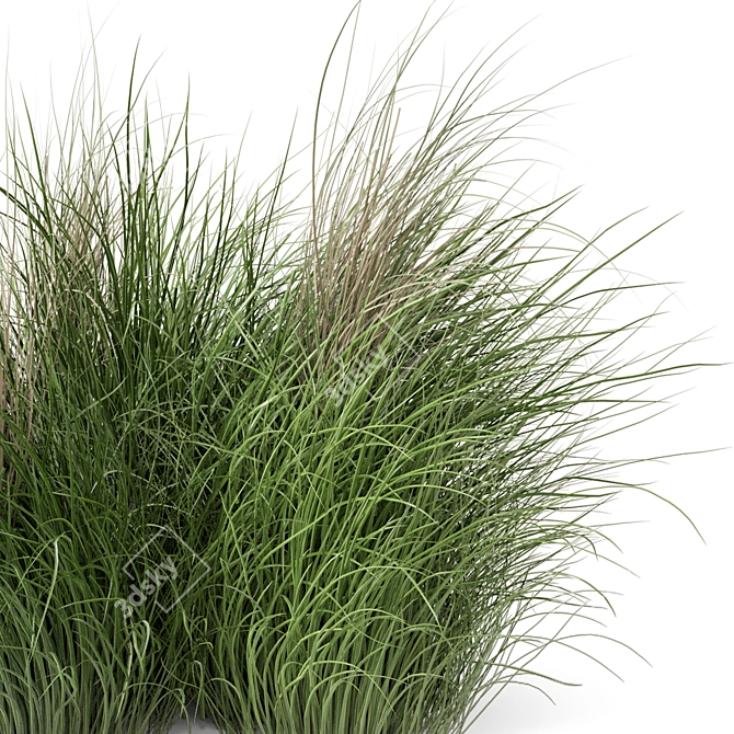 Natural Outdoor Bush Set 3D model image 4