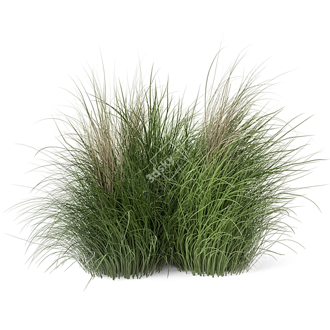 Natural Outdoor Bush Set 3D model image 5