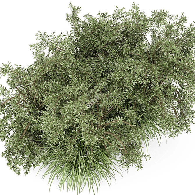 Lush Outdoor Bush Set - 219 Varieties 3D model image 2