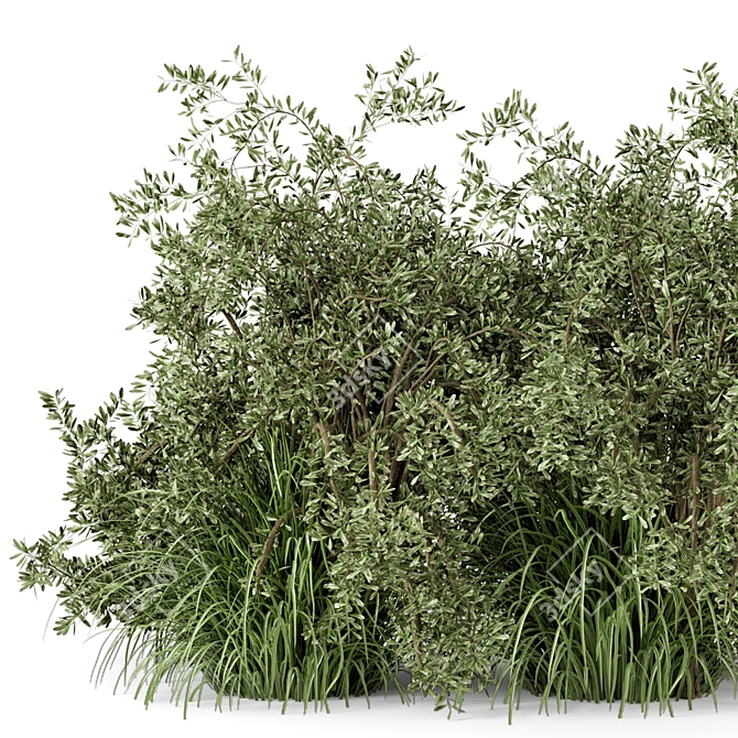 Lush Outdoor Bush Set - 219 Varieties 3D model image 3