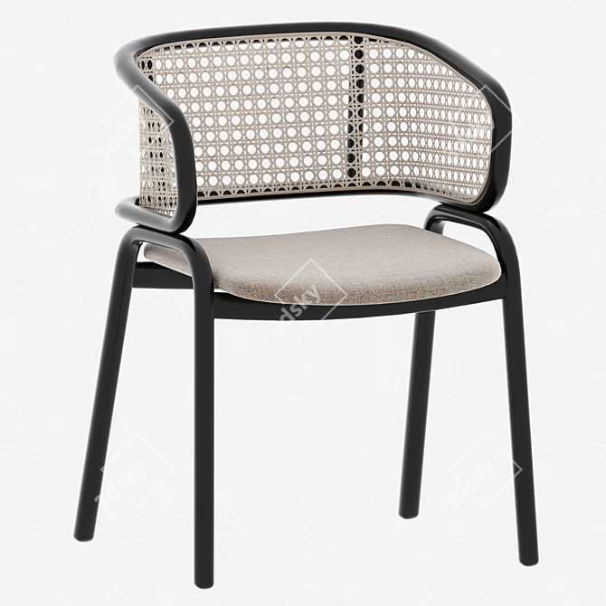 Elegant Kin Rattan Armchair with Metal Frame 3D model image 1