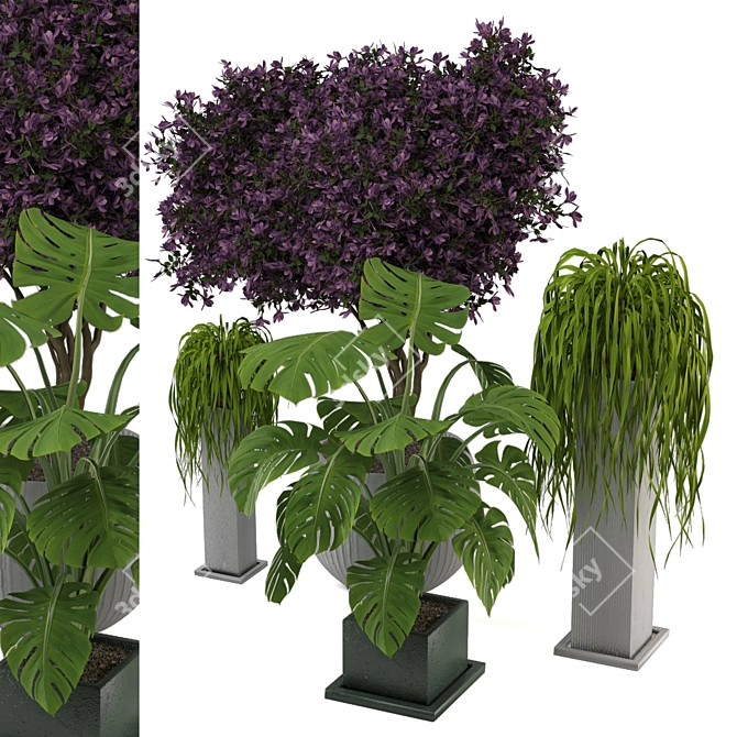 Exquisite Outdoor Plant Set 3D model image 2