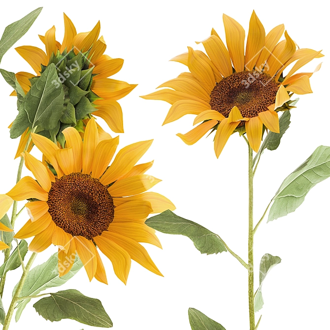 Sunflower Dreams Bouquet 3D model image 4