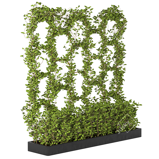 Lush and Voluminous Ivy Set 3D model image 2