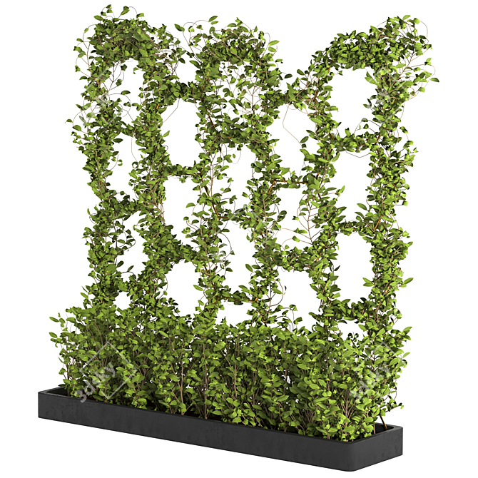 Lush and Voluminous Ivy Set 3D model image 3