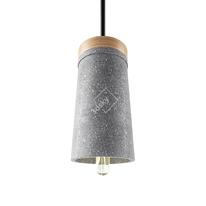 Coburg Wooden Concrete Pendant 3D model image 4