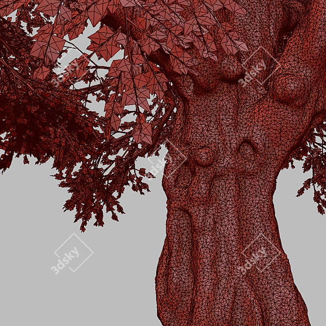 Kellogg Oak Tree: California's Majestic Beauty 3D model image 5
