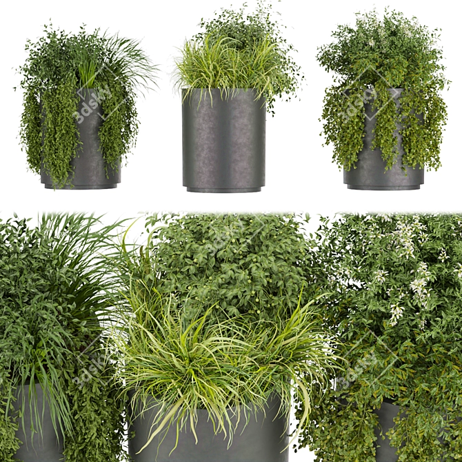 Premium Plant Collection (Vol. 232) 3D model image 1